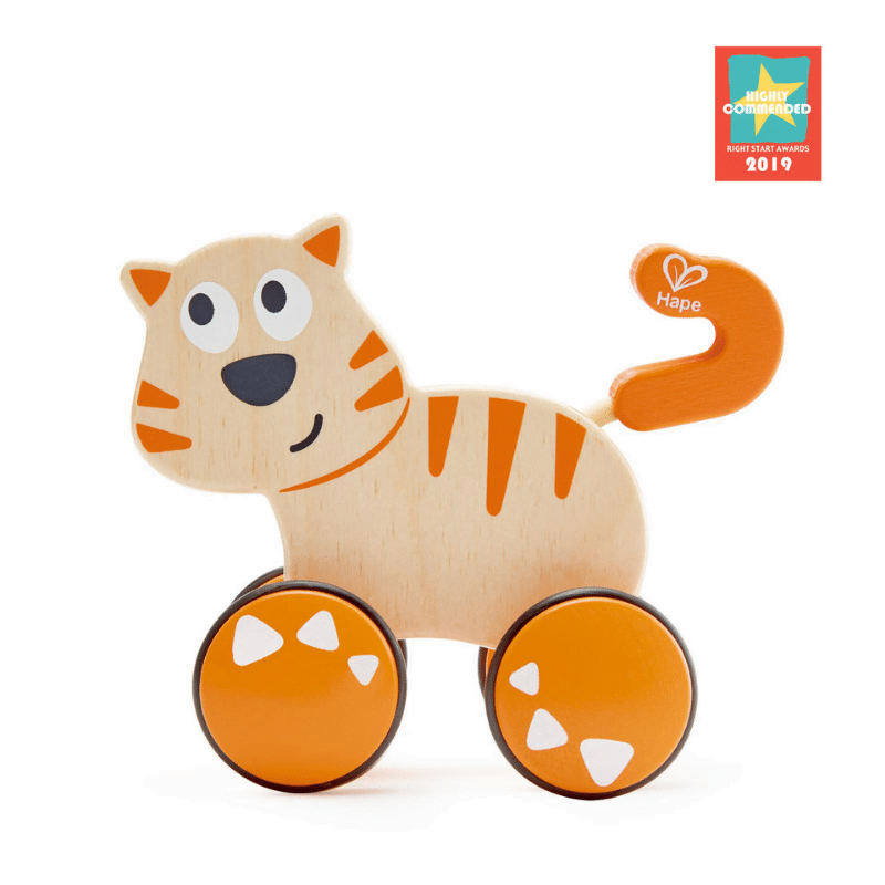 DANTE LE CHAT QUI TROTTINE