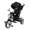 TRICYCLE HARELY MUSICAL ET LUMINEUX NOIR – MON BEBE