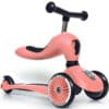 SCOOT & RIDE – TROTTINETTE HIGHWAYKICK 1 – pêche