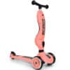SCOOT & RIDE – TROTTINETTE HIGHWAYKICK 1 – pêche