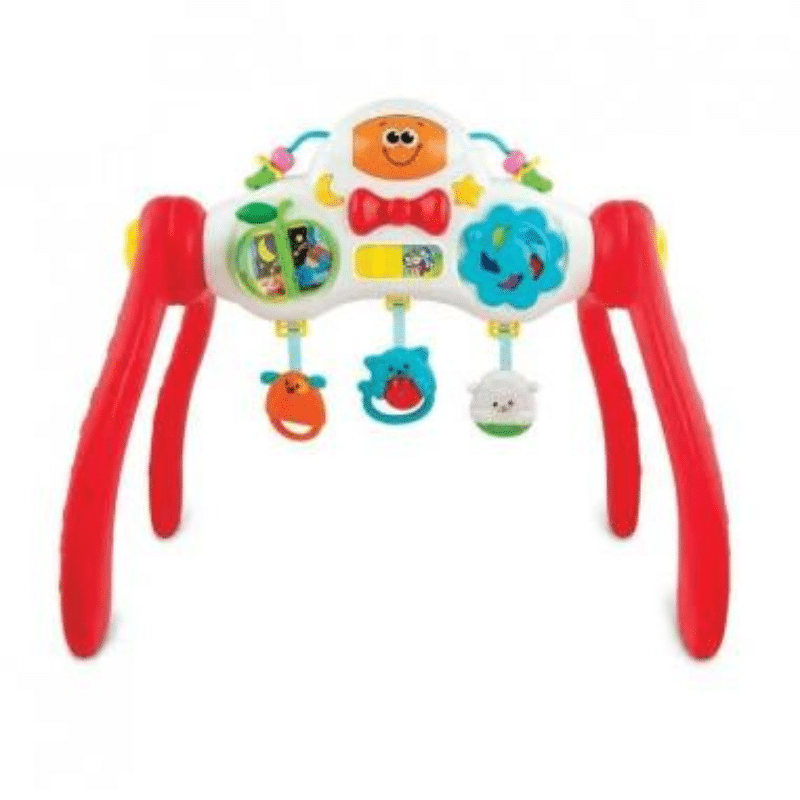 Melody Gym3 mois+ Winfun