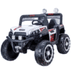 Voiture electrique 2 places YT-1388