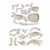 archeo-kyduc dinosaures - clementoni