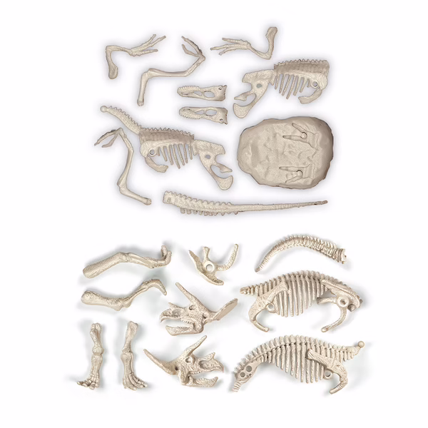 archeo-kyduc dinosaures - clementoni
